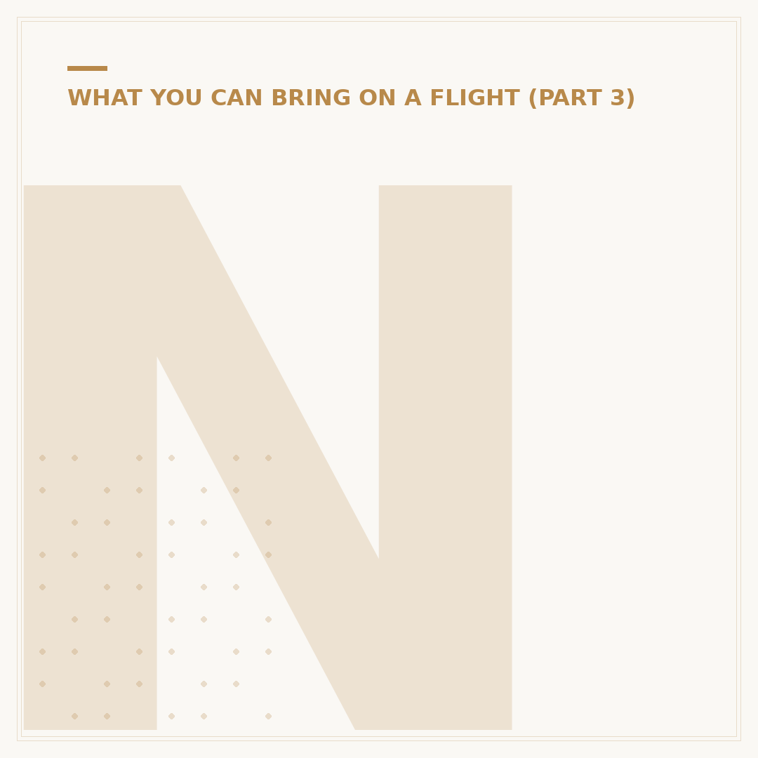 Norse Atlantic Airways Food: What to Expect and Plan