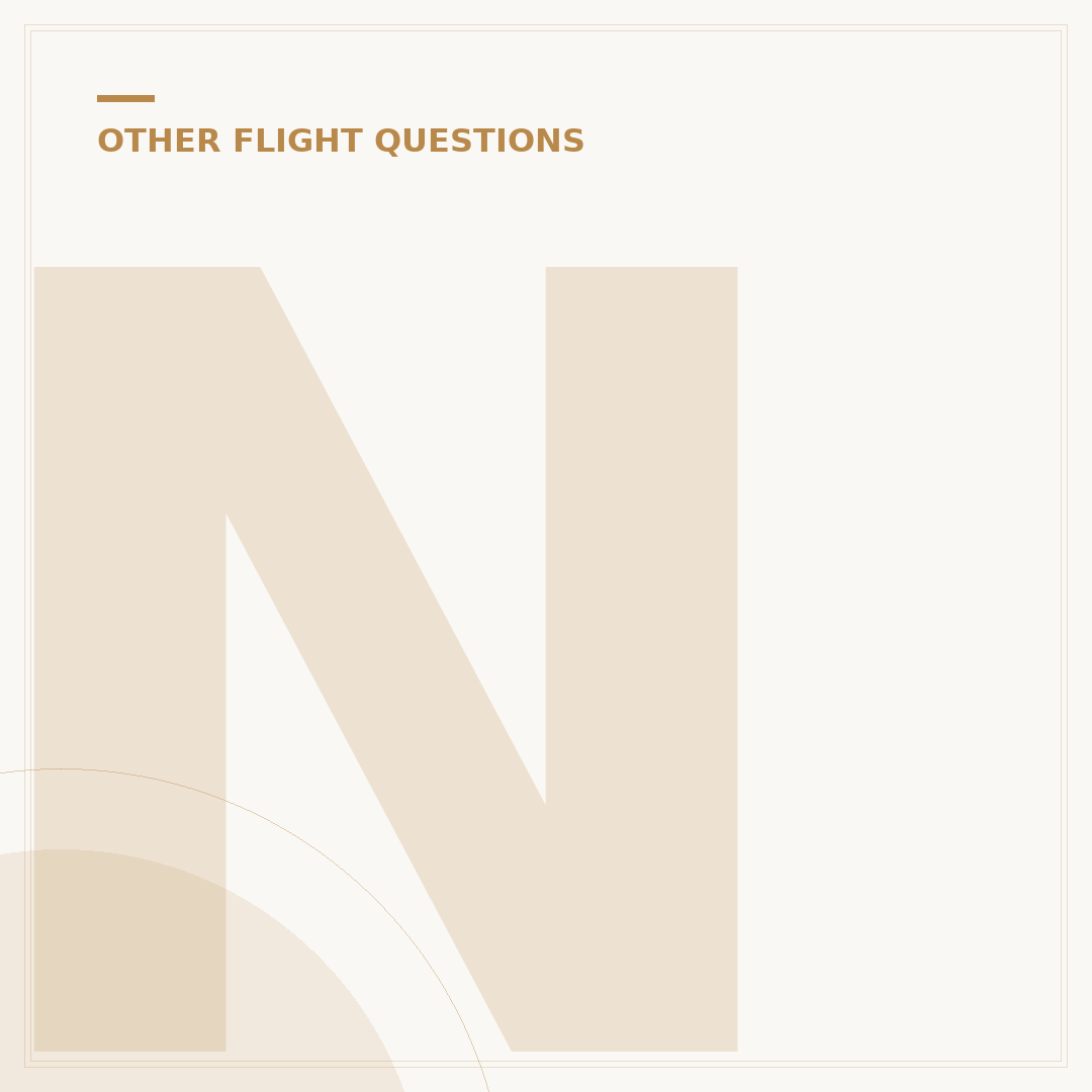 Norse Atlantic Airways Reviews: A Detailed Analysis
