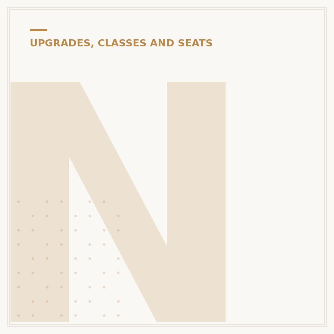 Norse Atlantic Economy Class