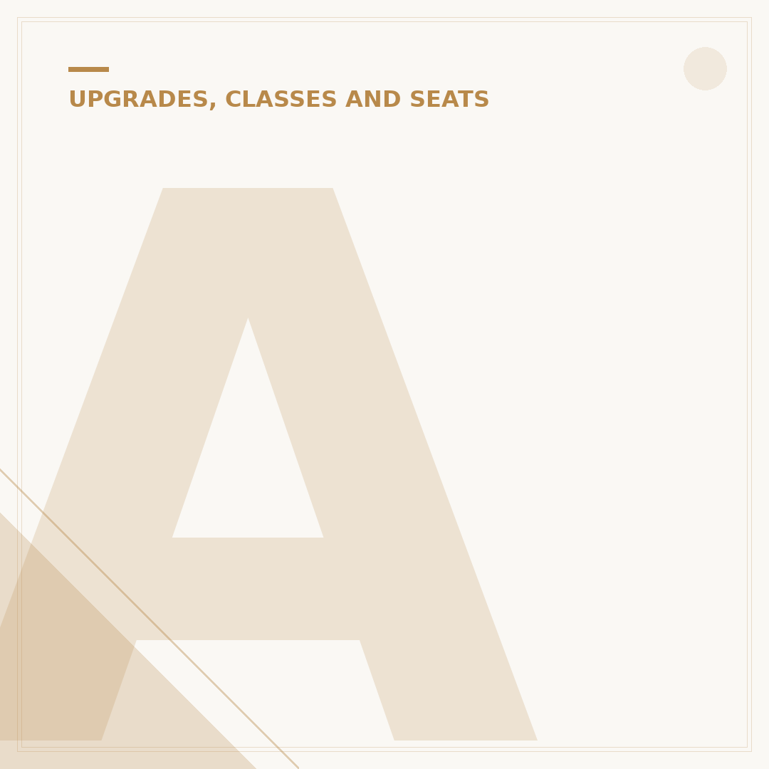 Analysing Norse Atlantic Premium Economy Cabin Features
