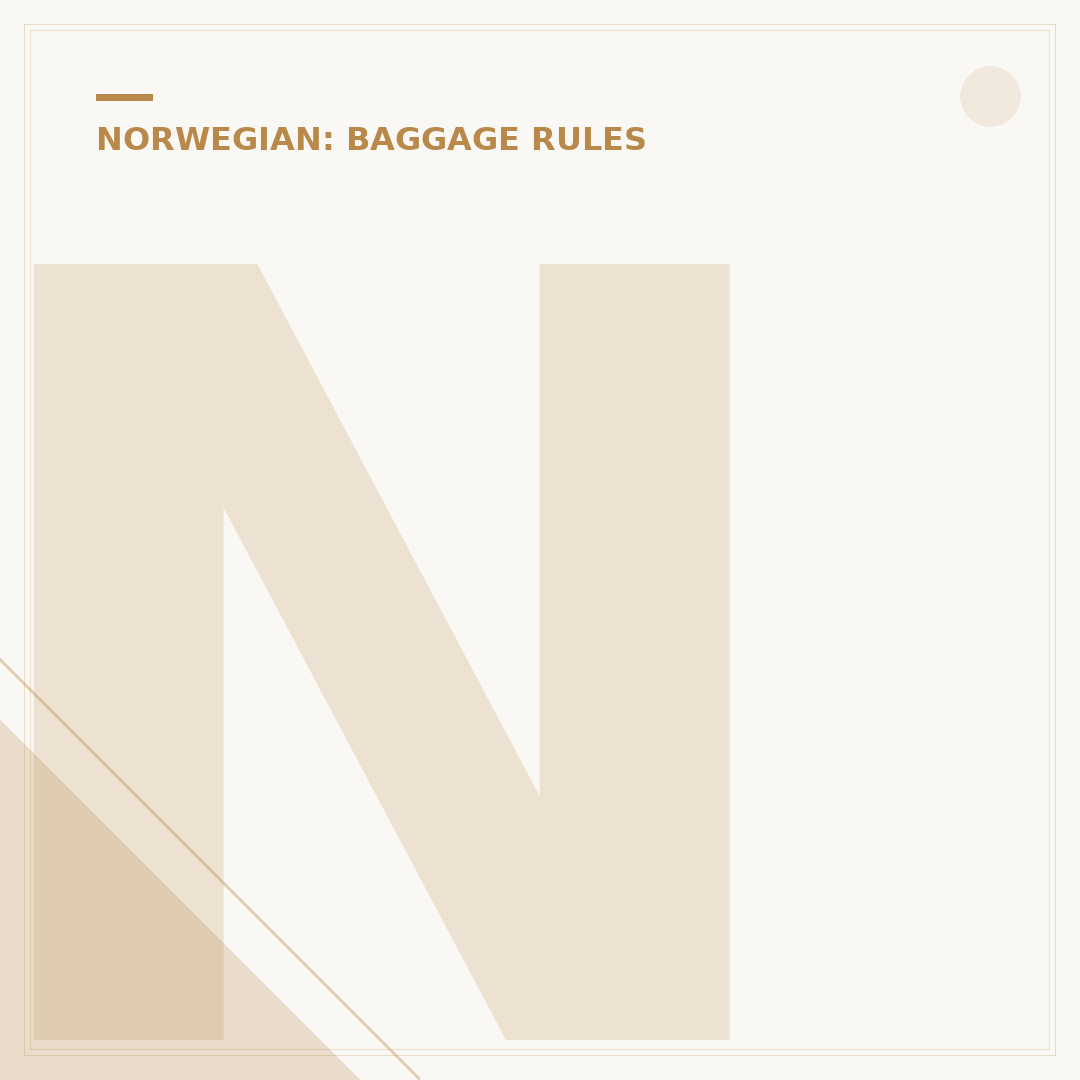 Norwegian Air Baggage Size: Rules and Dimensions