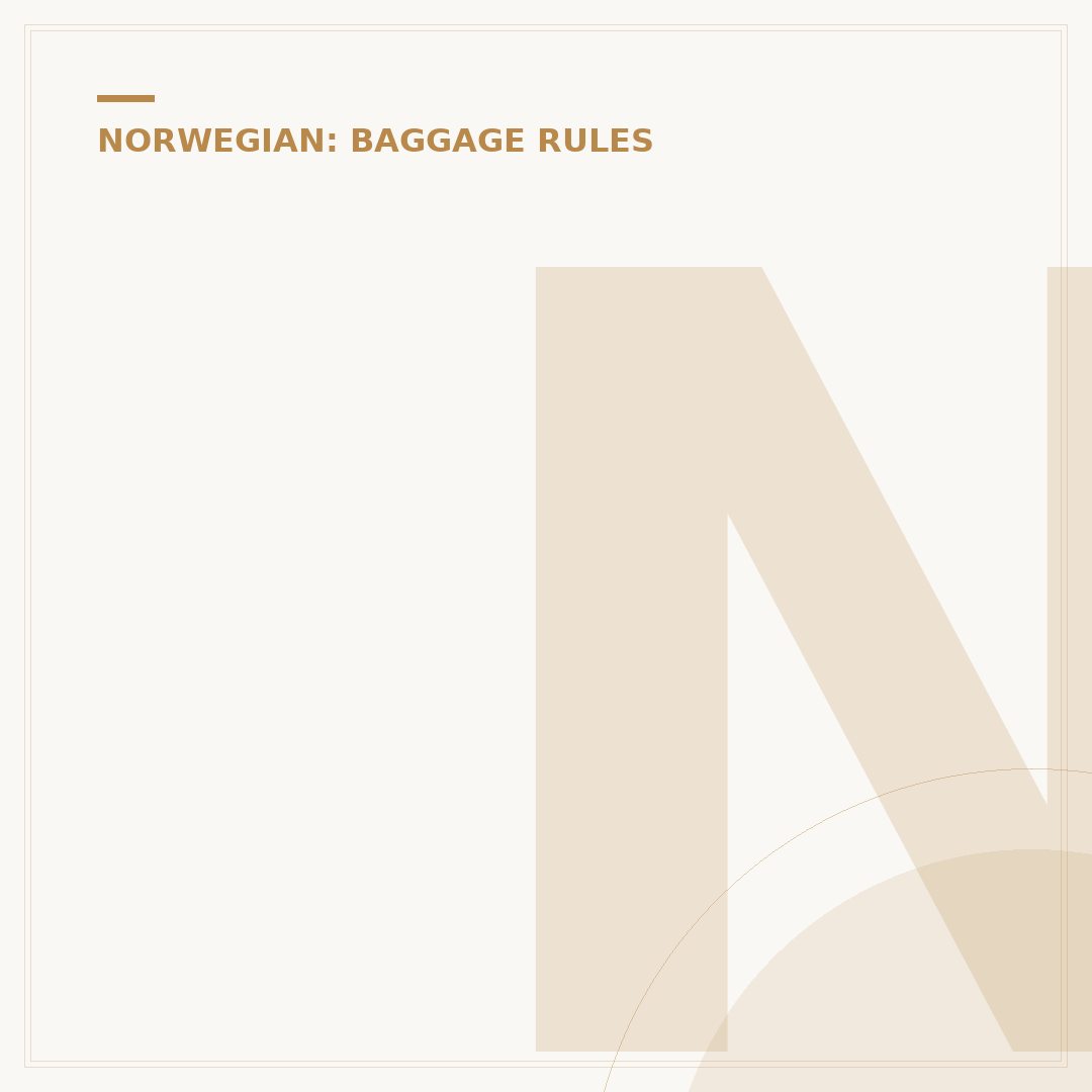 Norwegian Air Carry On Size: Cabin Bag Dimensions Explained