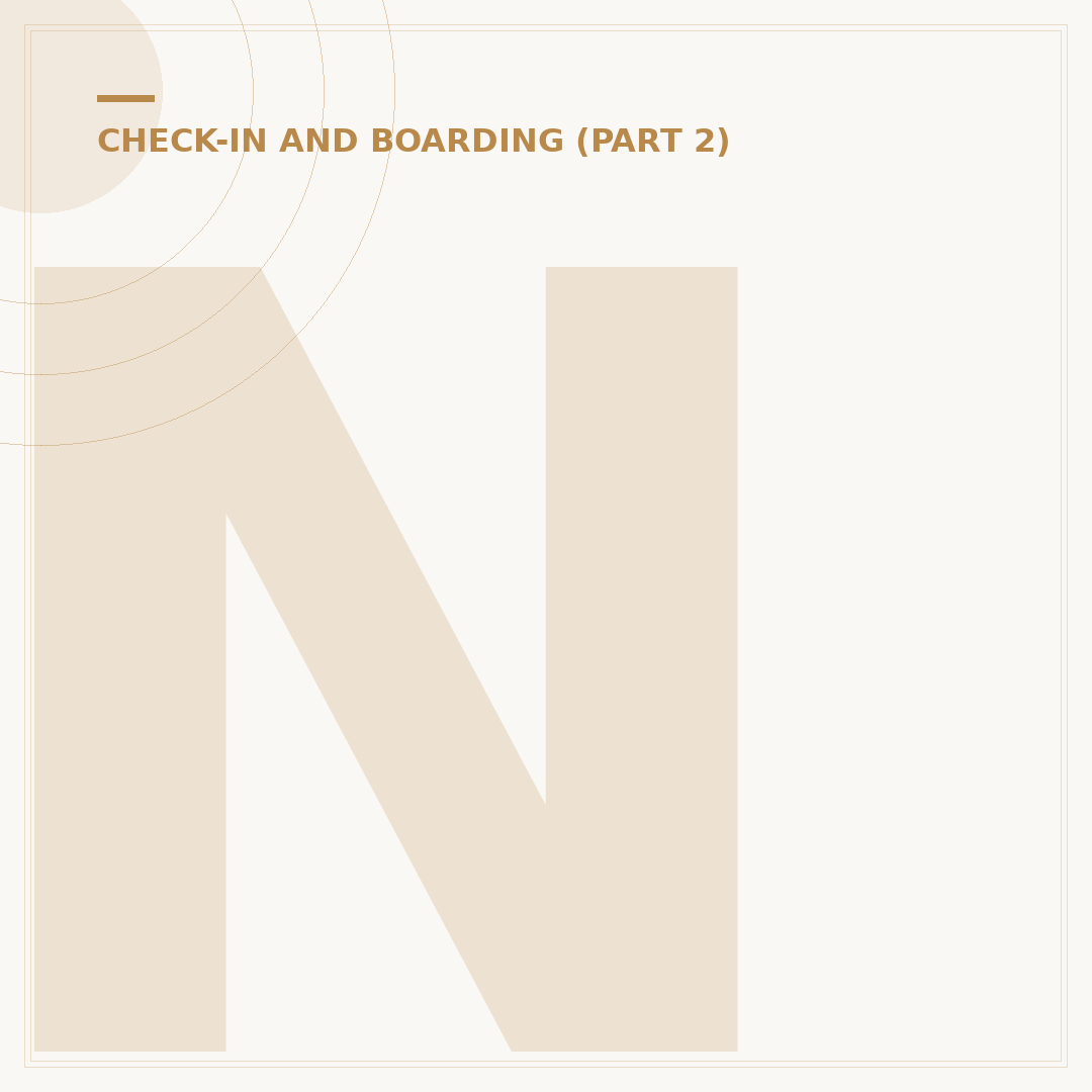 Norwegian Air Flight Check-In: Process and Verification
