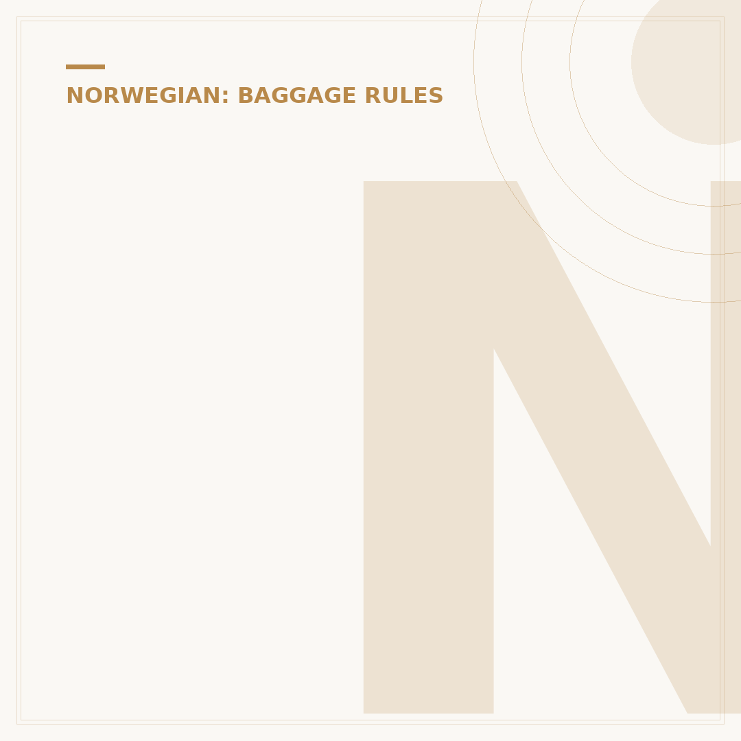 Norwegian Airways Hand Luggage Rules