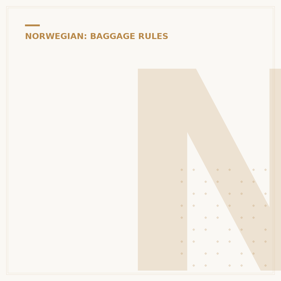 Norwegian Air Shuttle Baggage Allowance Explained