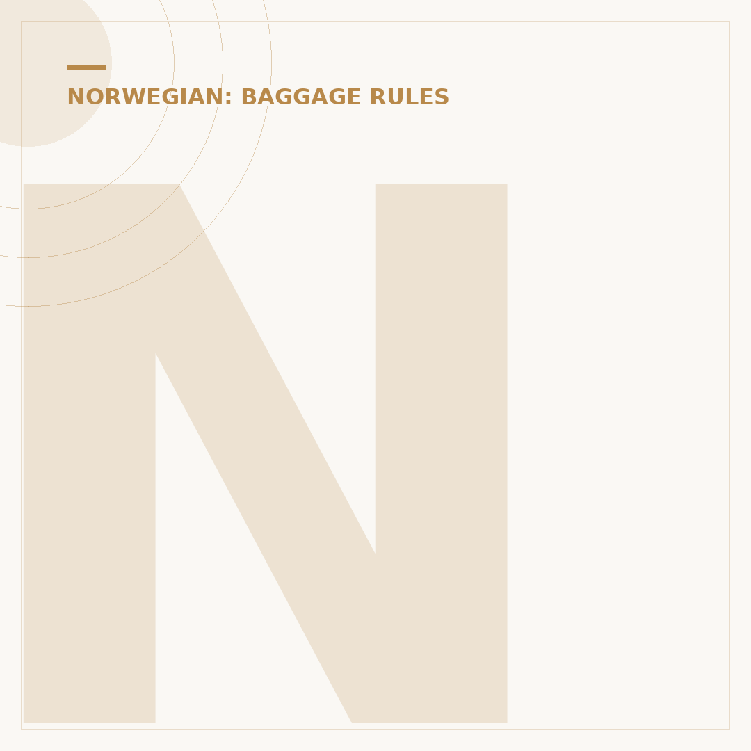 Norwegian Air Shuttle Baggage Size and Rules