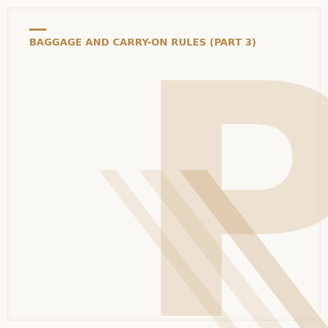 Pegasus Airlines Baggage Rules: Cabin and Hold Policies