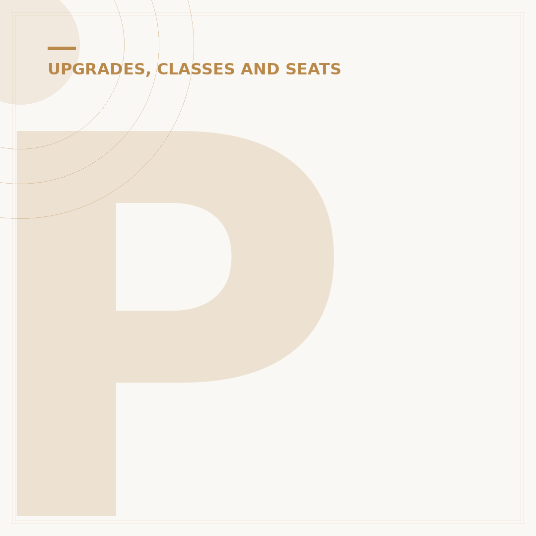 Pegasus Airlines Business Class: The Reality of Fare Bundles
