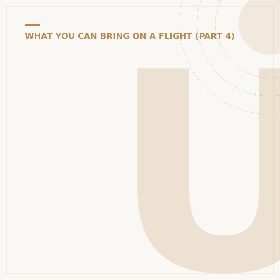 Understanding Pegasus Airlines Food and Catering Rules