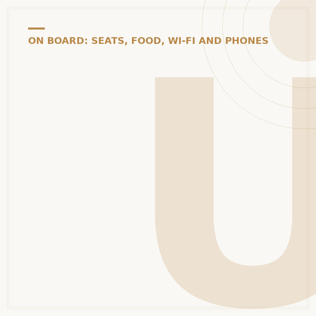 Understanding Pegasus Airlines Seats: Layout and Options