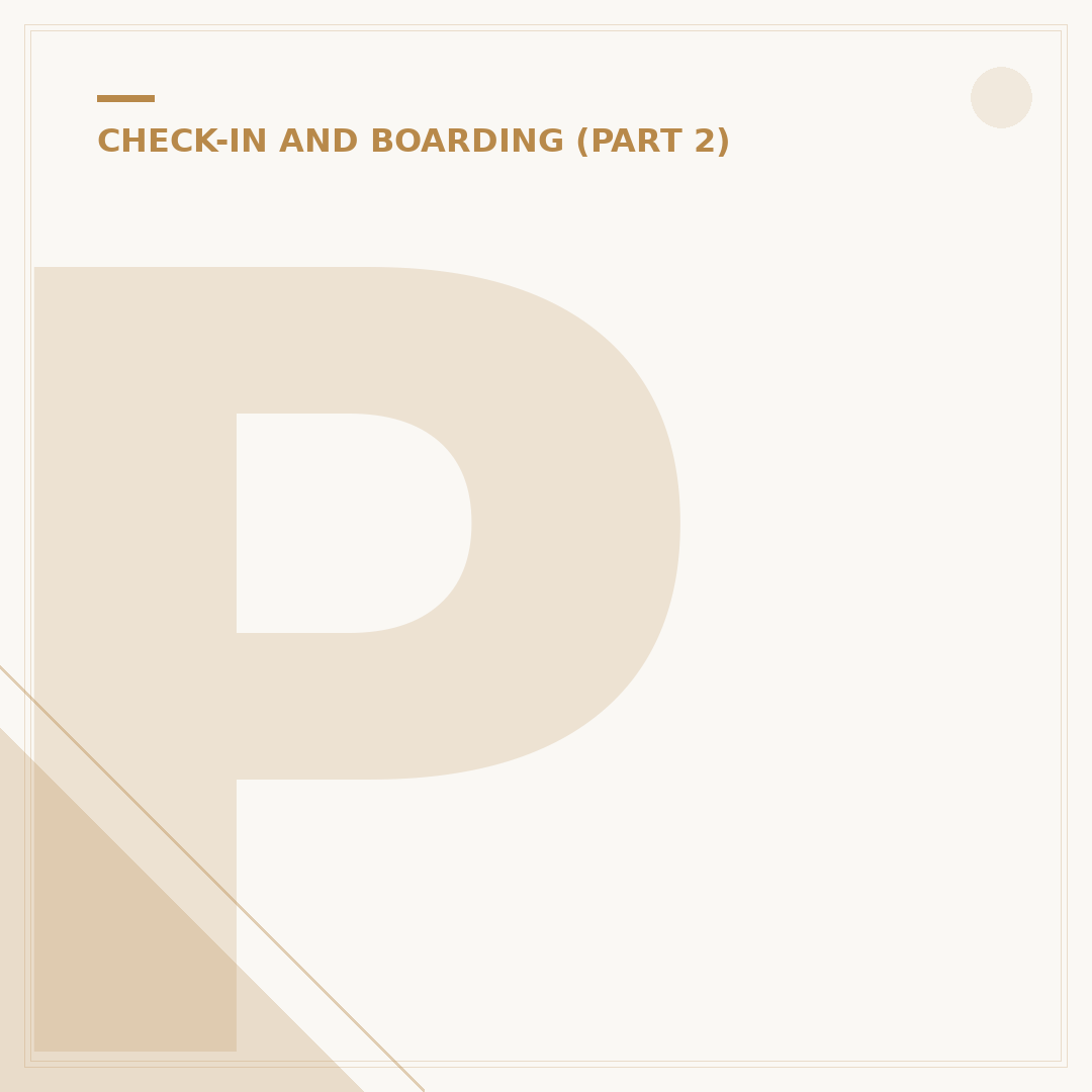 Pegasus Airlines Web Check-In