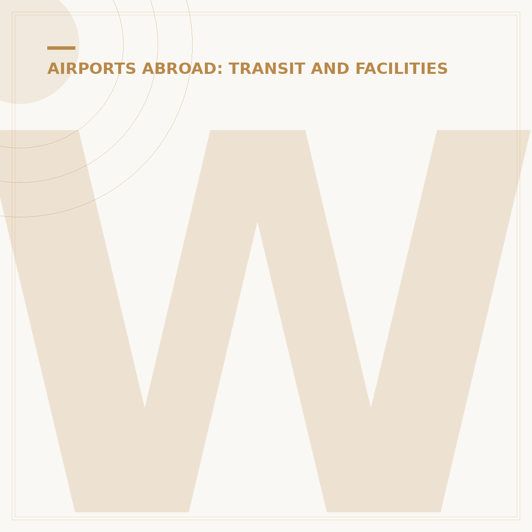 When the Plane Arrives at the Transit Airport