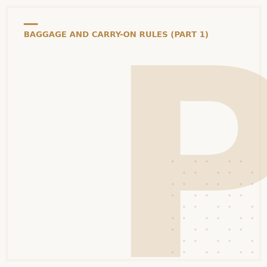 Plane Cabin Bag: Size, Weight & Airline Rules
