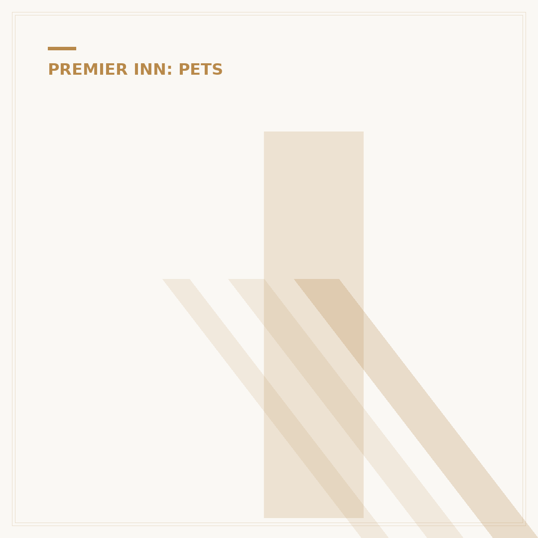 Is Premier Inn Dog Friendly? Accommodation Policies