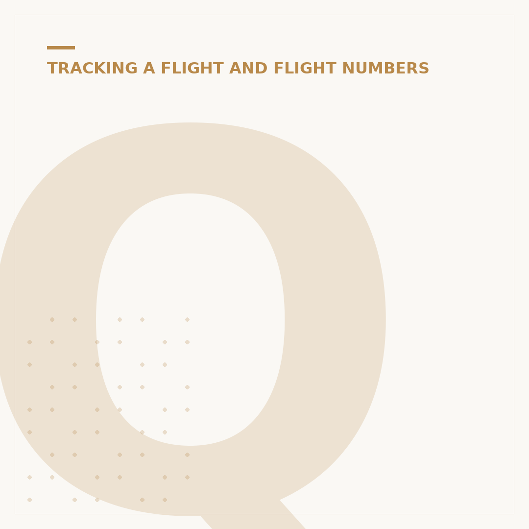 Qantas Flight Info: Status, Schedules & Management