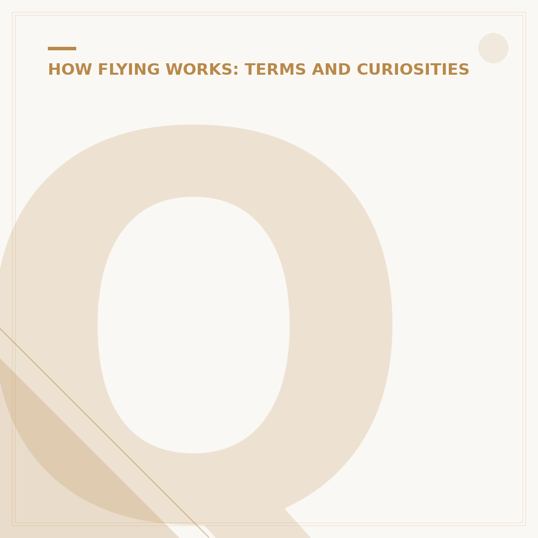 Qatar Airways A380: Fleet, Routes & Seating Insights
