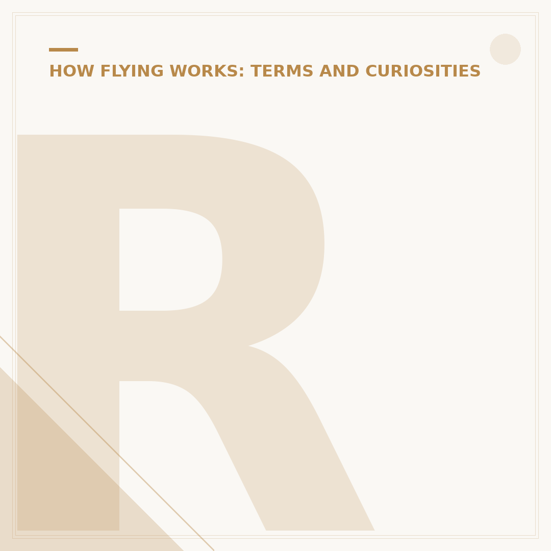 Ryanair Pilots Wages: Understanding Pay Structures