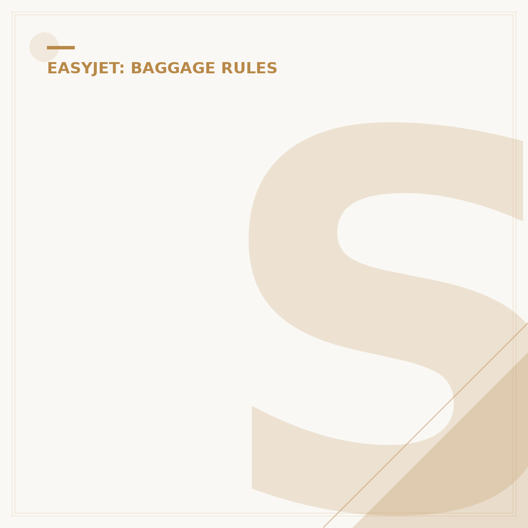 Small Underseat Cabin Bag EasyJet: Dimensions Explained
