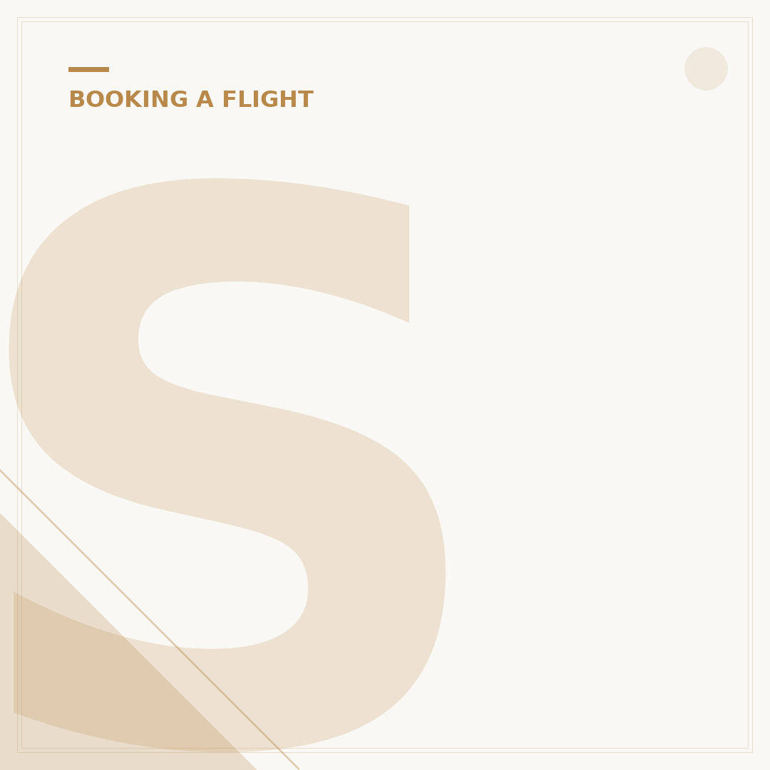 SN Brussels Airlines Booking