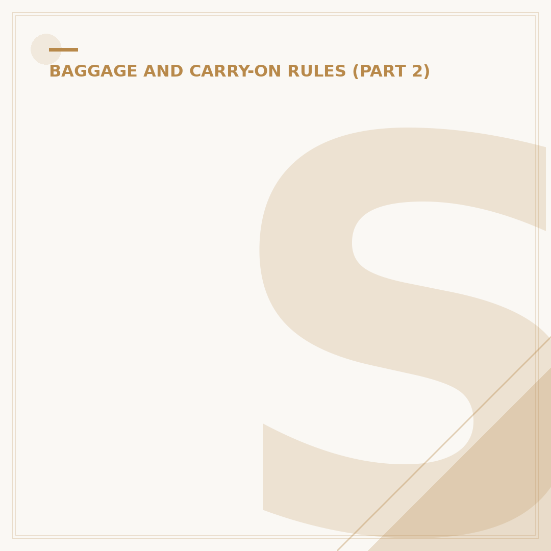 Standard Cabin Bag Dimensions and Airline Rules