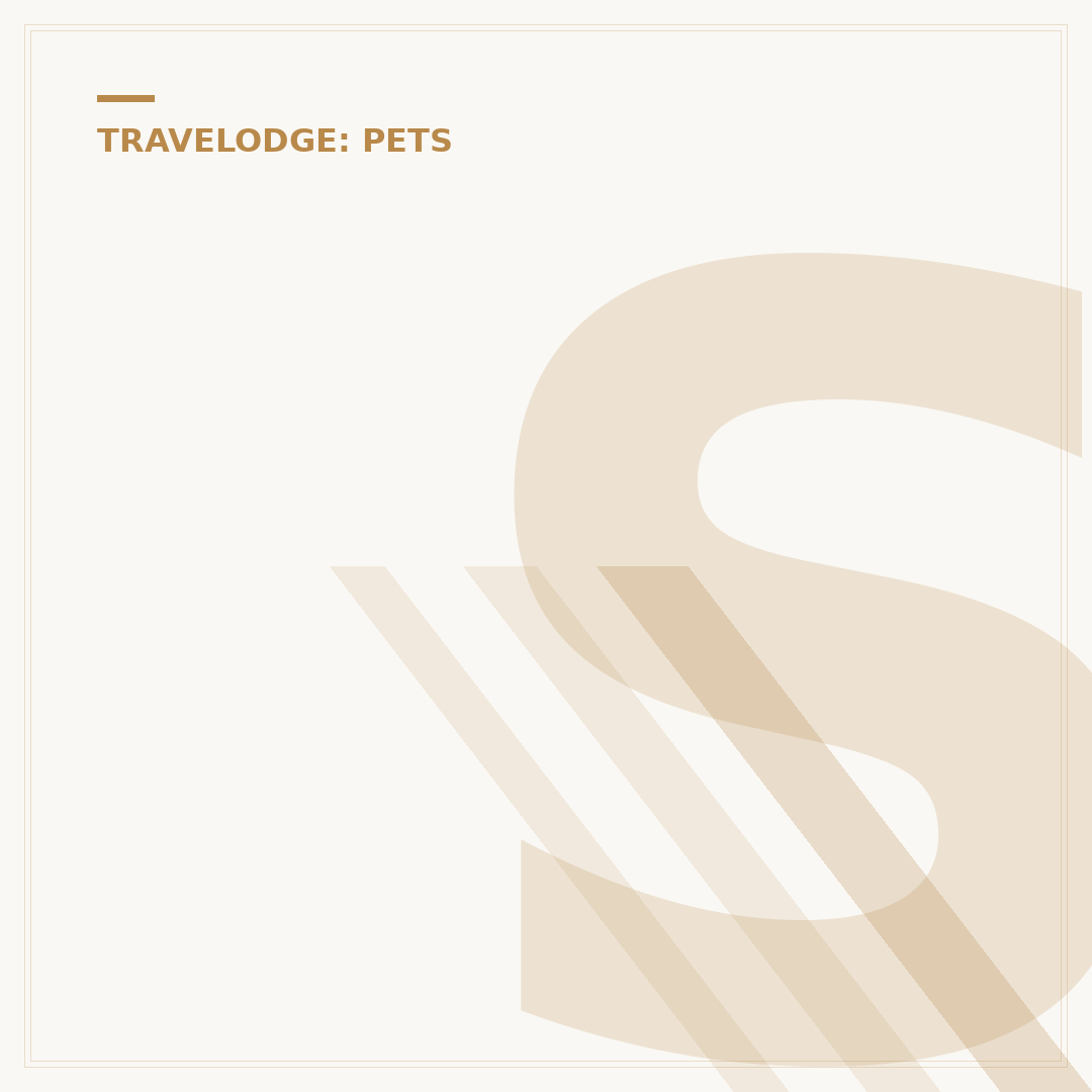 Staying at Travelodge with Dogs: A Policy Overview