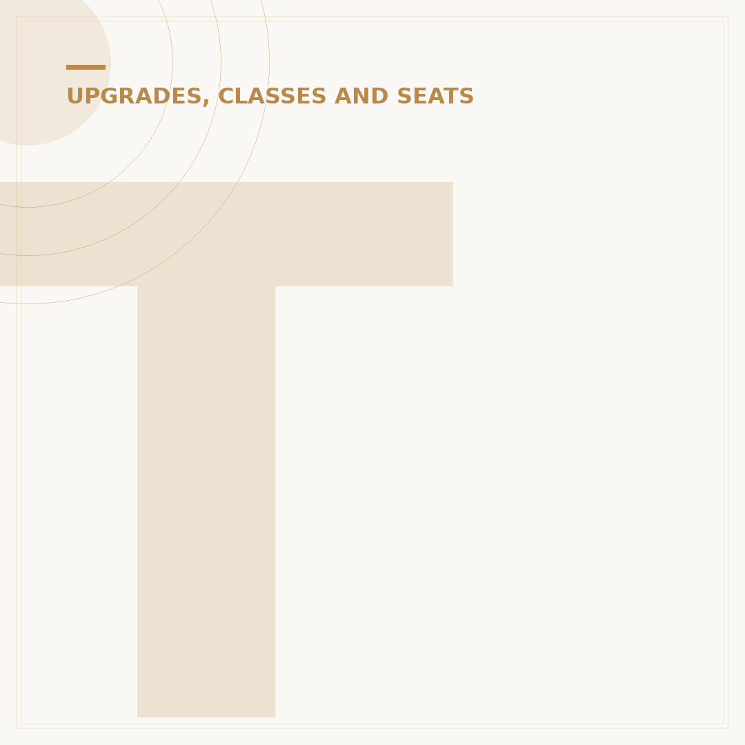 TAP Air Portugal Business Class: Experience & Amenities