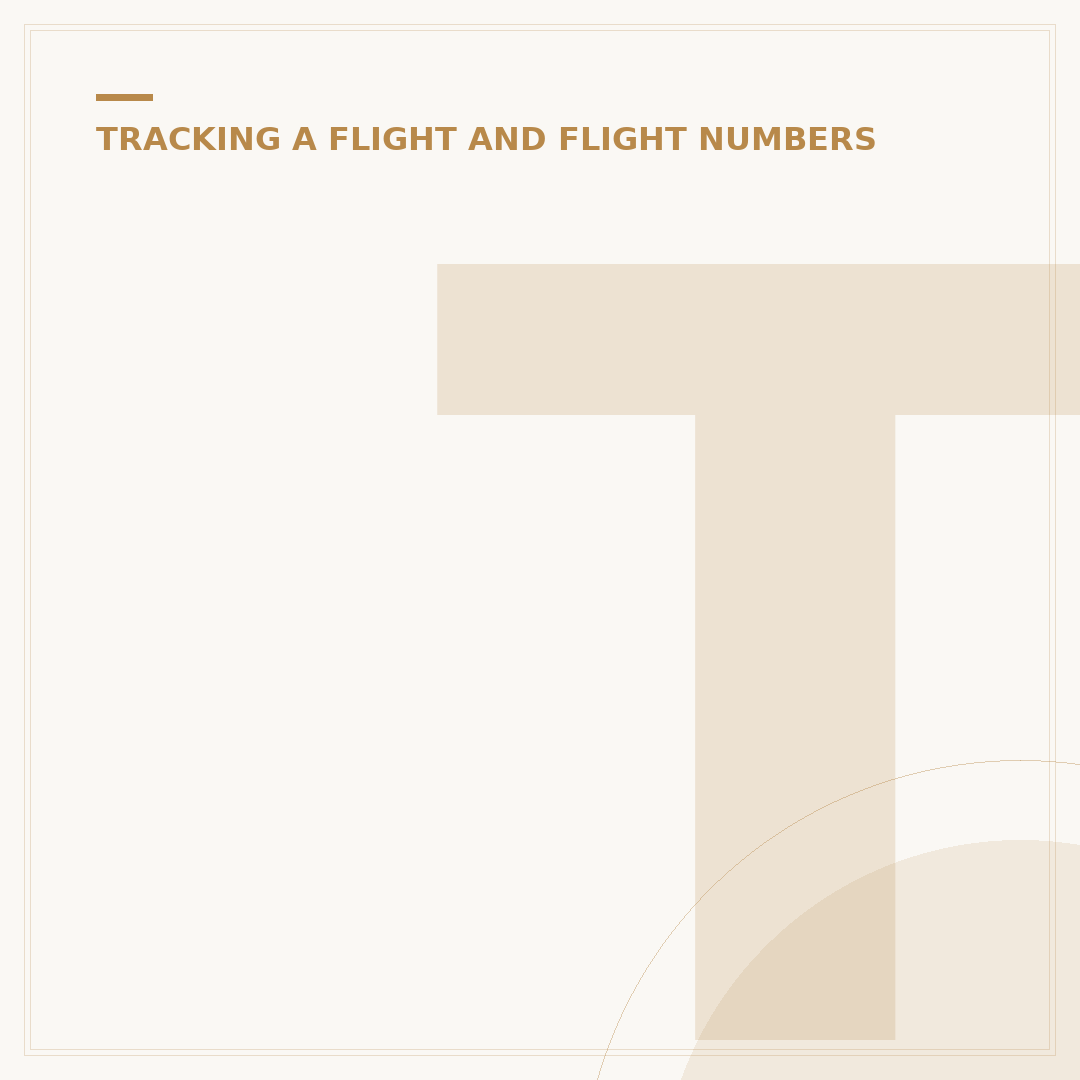 Track Air France Baggage: When It Goes Missing