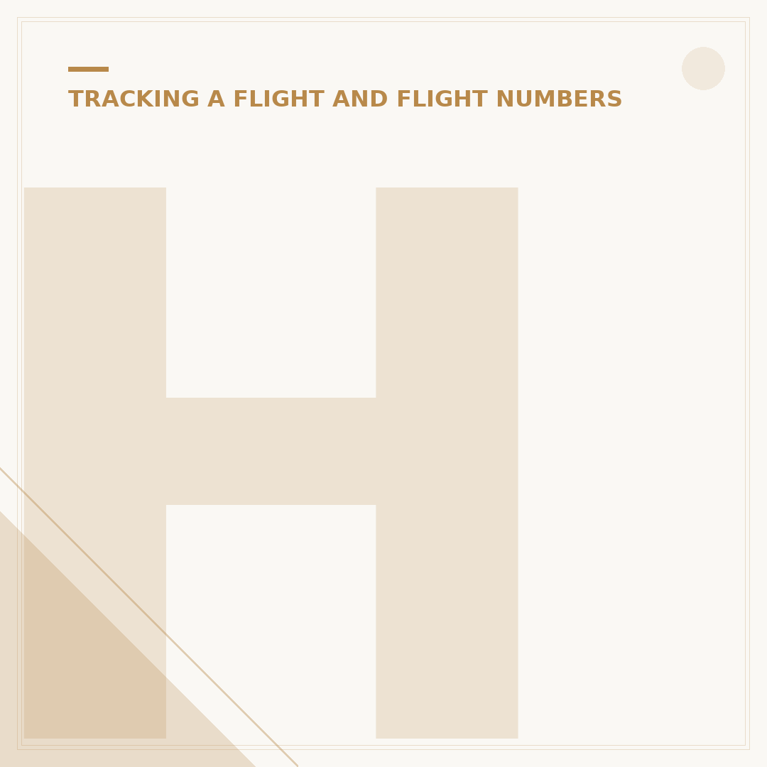 How to Track a Flydubai Flight
