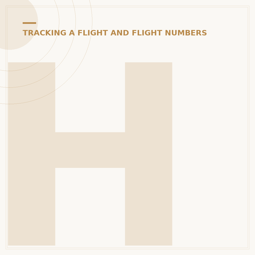 How to Track Qatar Airways Flights