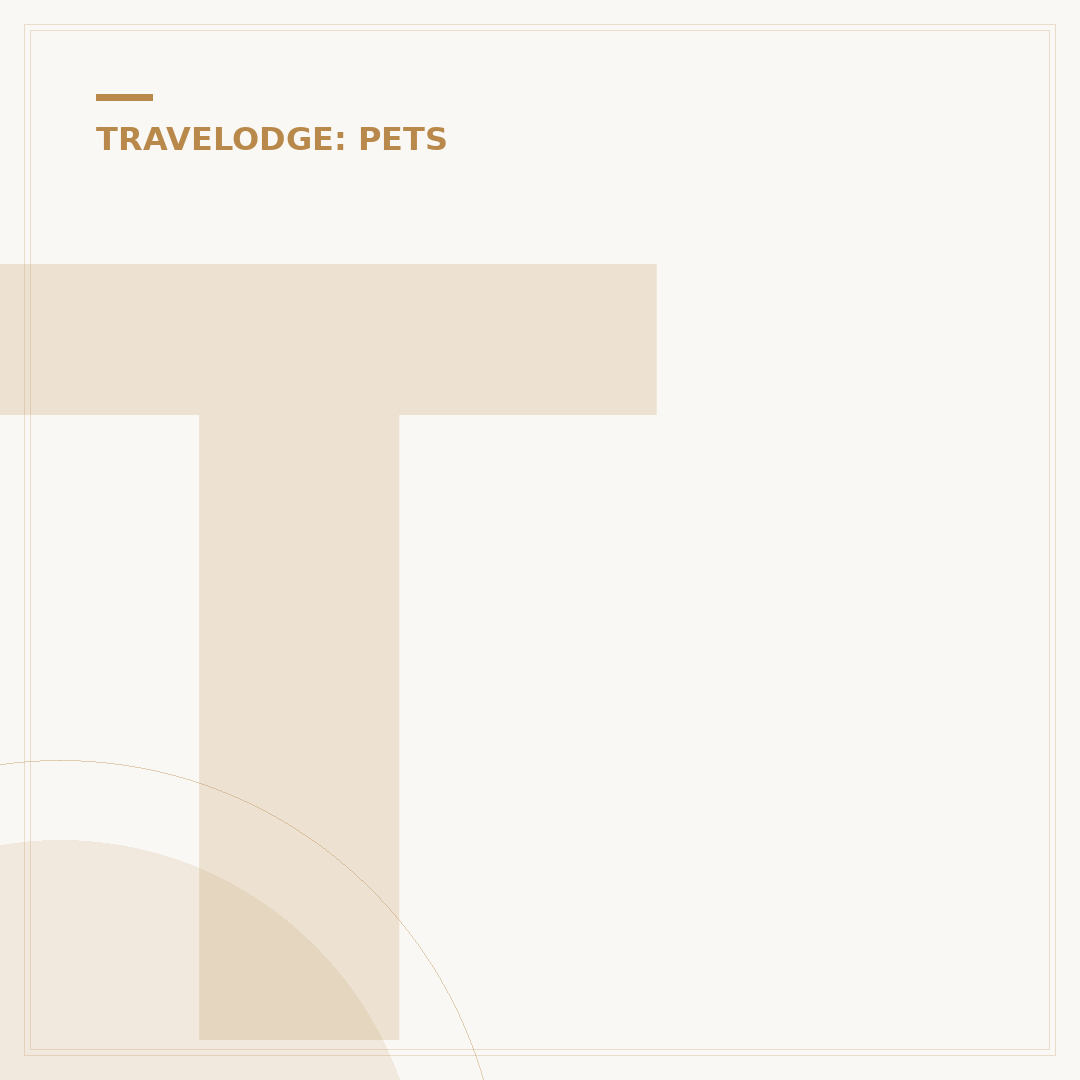Travelodge Dog Policy