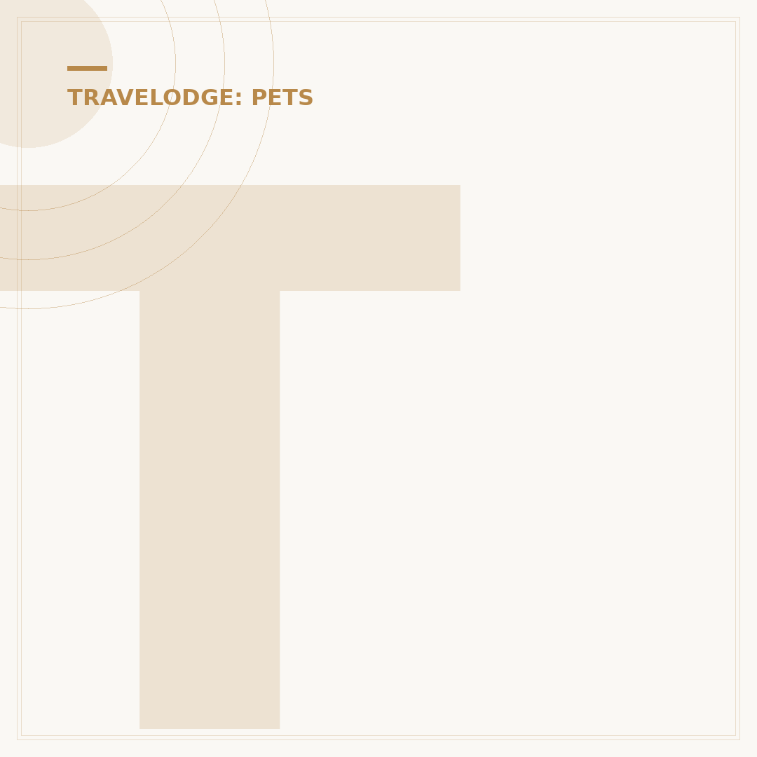 Travelodge Pet Policy: Bringing Your Dog On Holiday