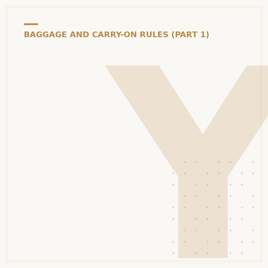 Your Trip Cabin Bag: Size, Style & Airline Compliance