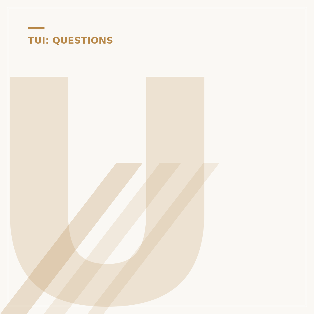 Understanding the TUI Logo and Brand Identity