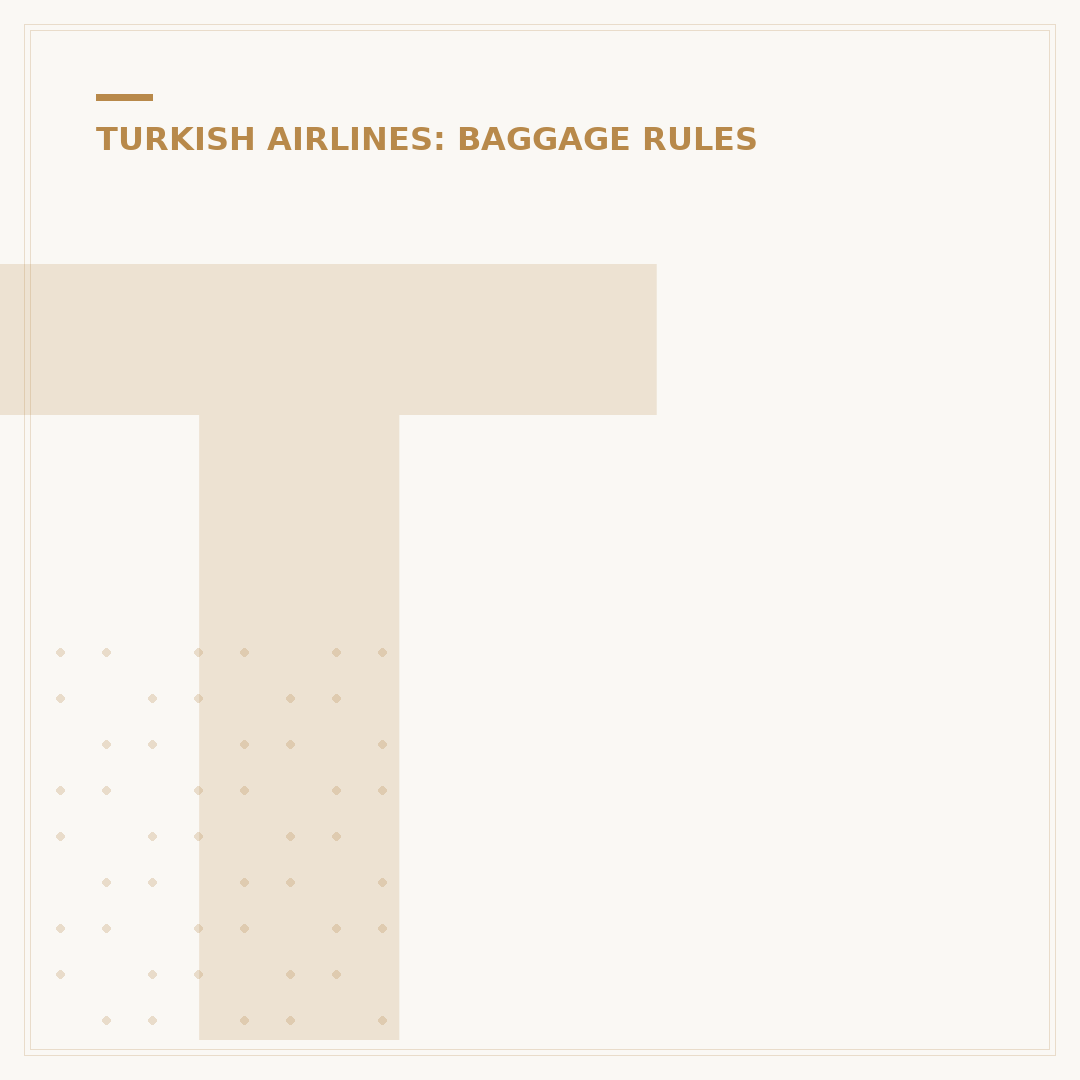 Turkish Airlines Baggage Limit: Rules and Allowances