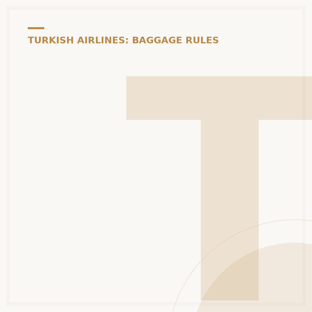 Turkish Airlines Cabin Baggage Size Limits Explained