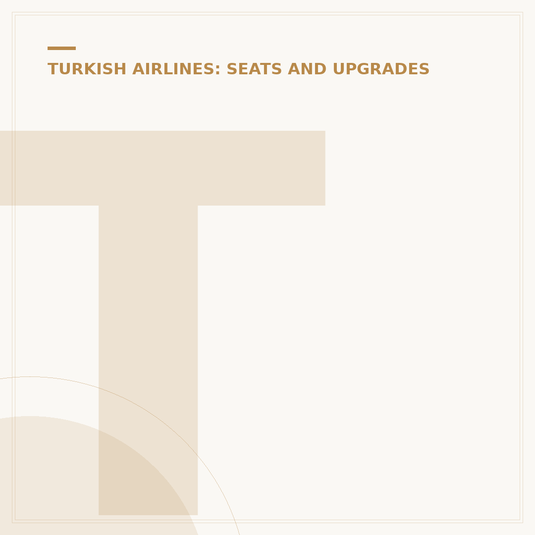 Turkish Airlines Economy Seats: What to Expect