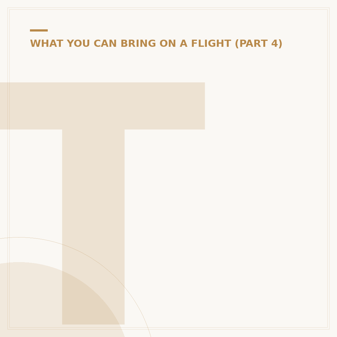 Turkish Airlines Food Menu: What to Expect Aboard