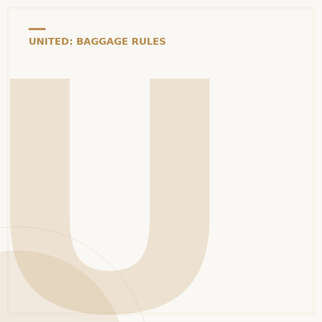 United Airlines Bags Allowed: Carry-On & Checked Rules