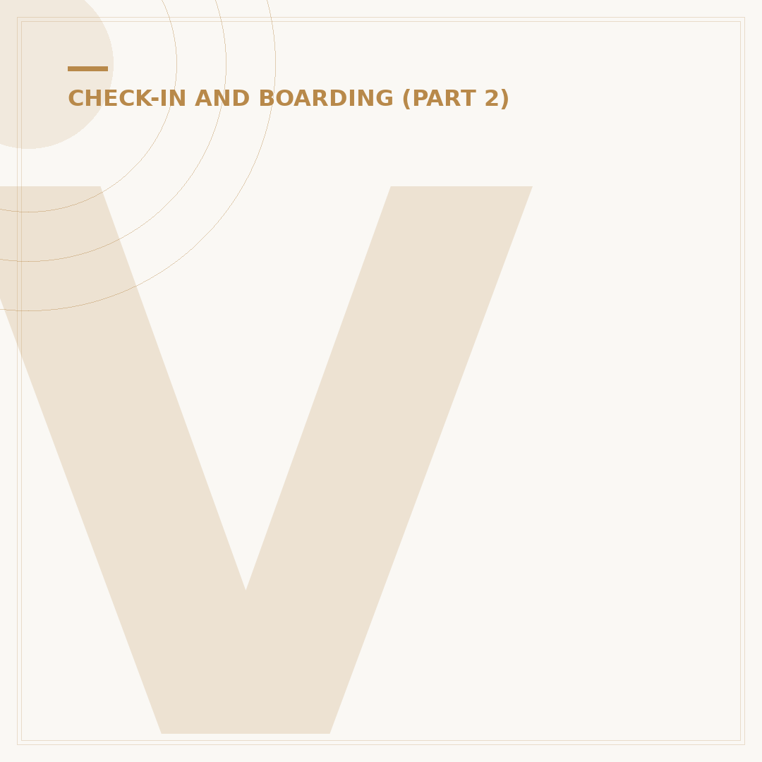 Vueling Flight Check In: Procedures and Protocols