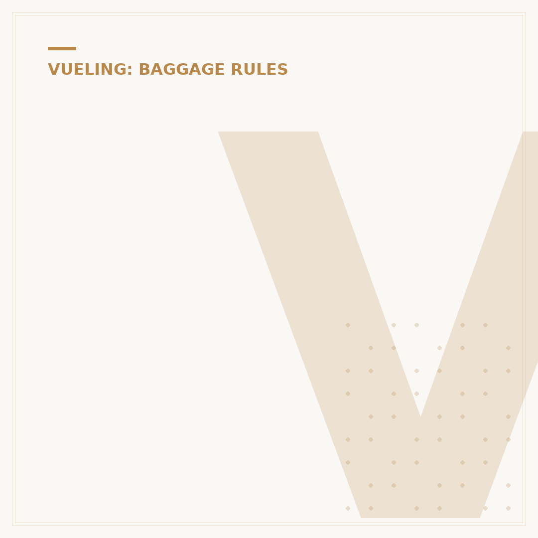 Vueling Personal Item Size: Official Rules Explained