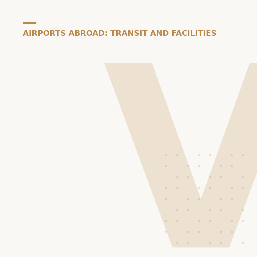 Vueling Terminal BCN Airport: What You Need To Know
