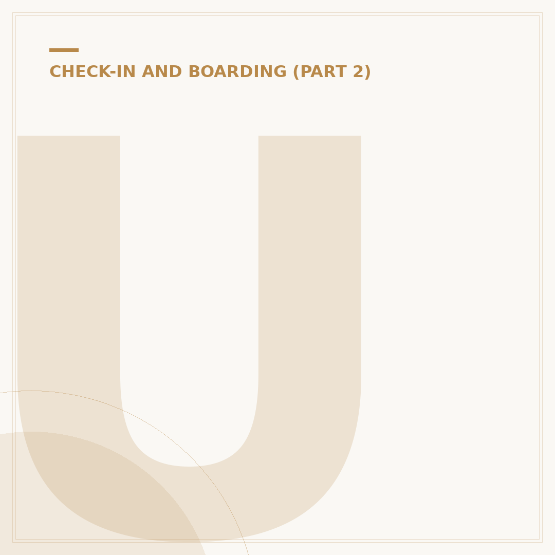 United Airlines Web Check-In: Process and Procedures