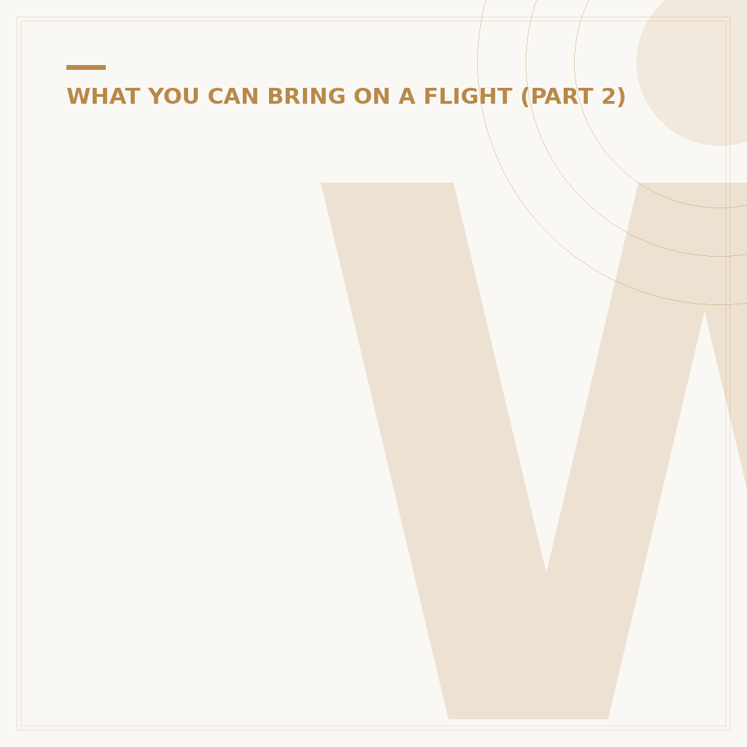 What Can You Bring On A Plane: Hand Luggage Rules