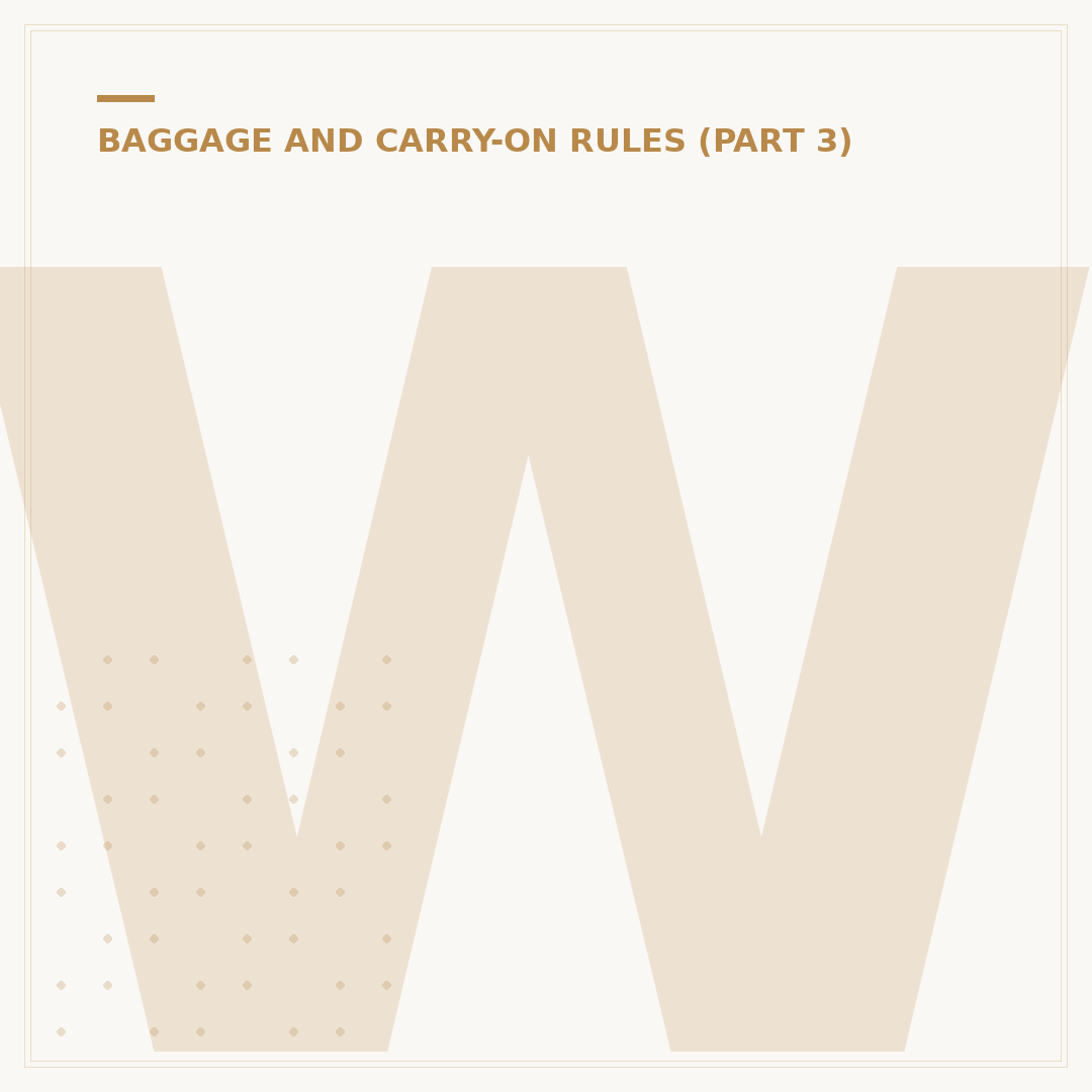 What Goes In Hand Luggage: Regulations and Standards