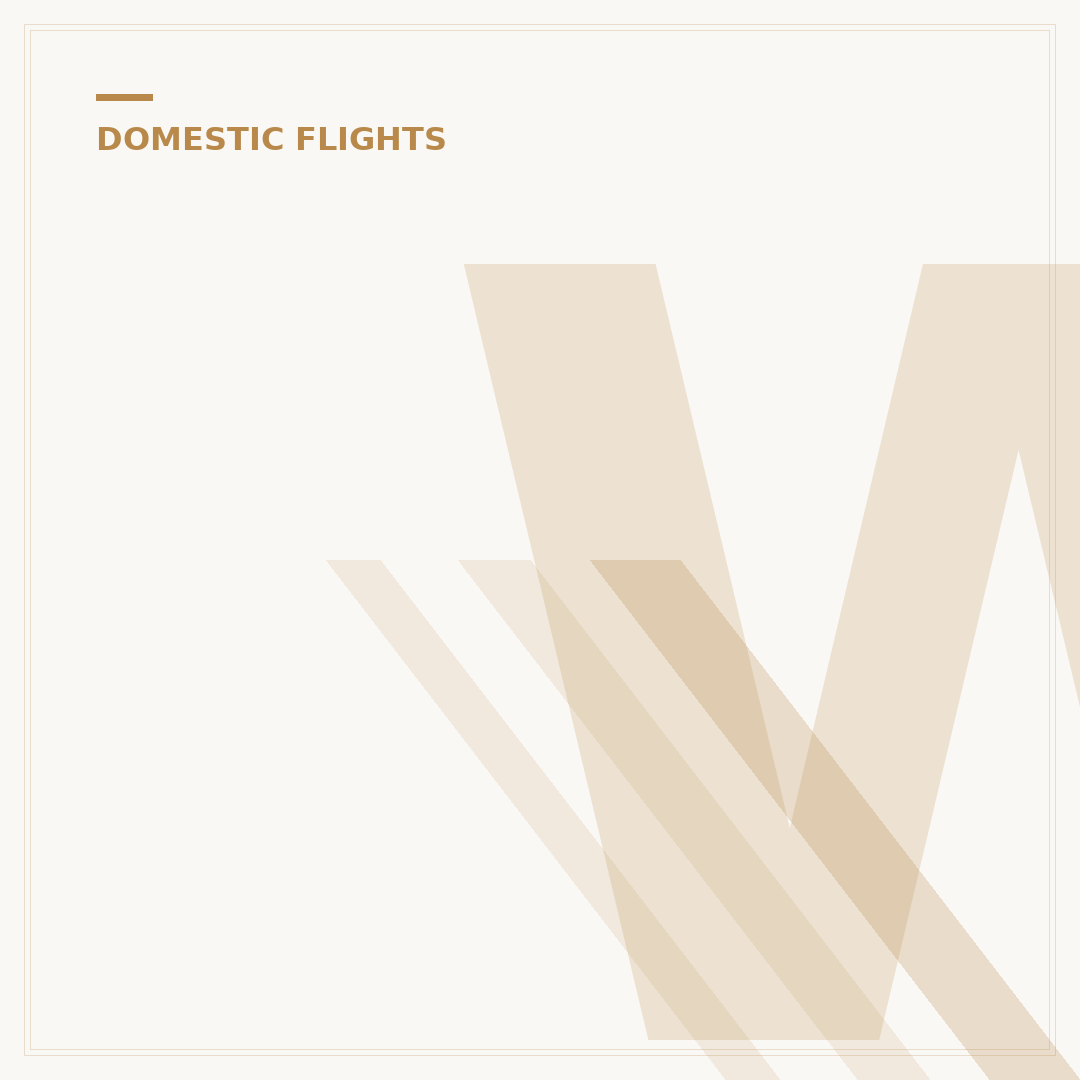 What is a domestic flight: Definitions and Rules