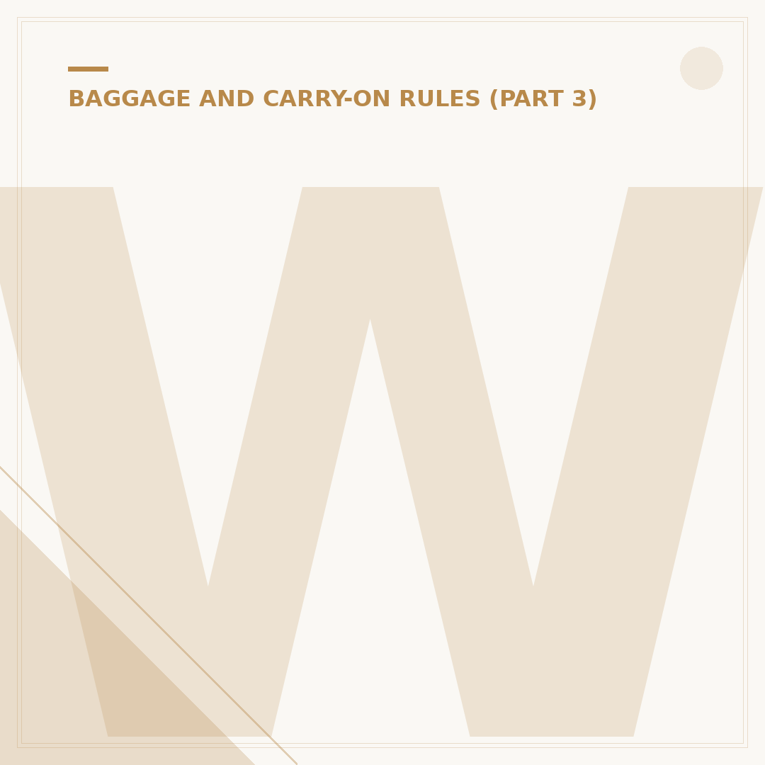 What's a Large Cabin Bag? Airline Allowance Rules Explained