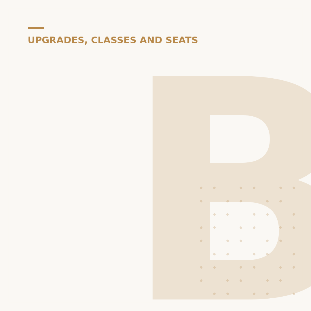 Business Class on a Plane: A Detailed Cabin Overview