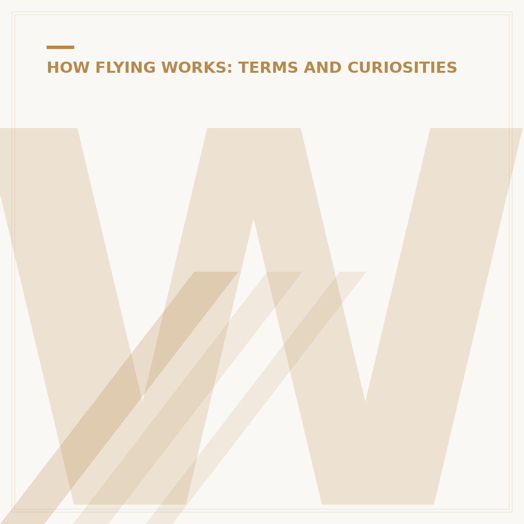 What is Plane Fuel: Technical Standards and Composition