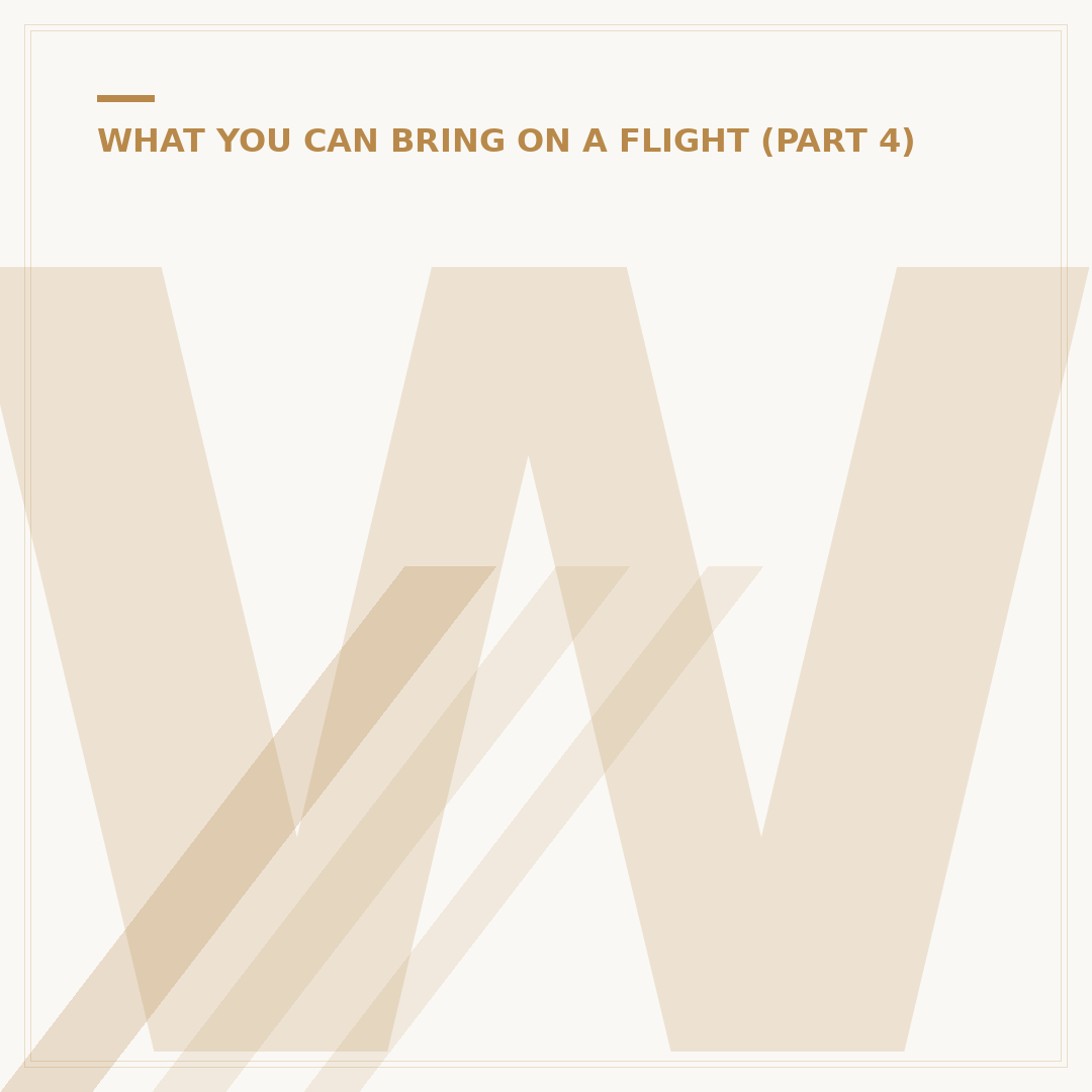 What Can You Not Take On A Plane?