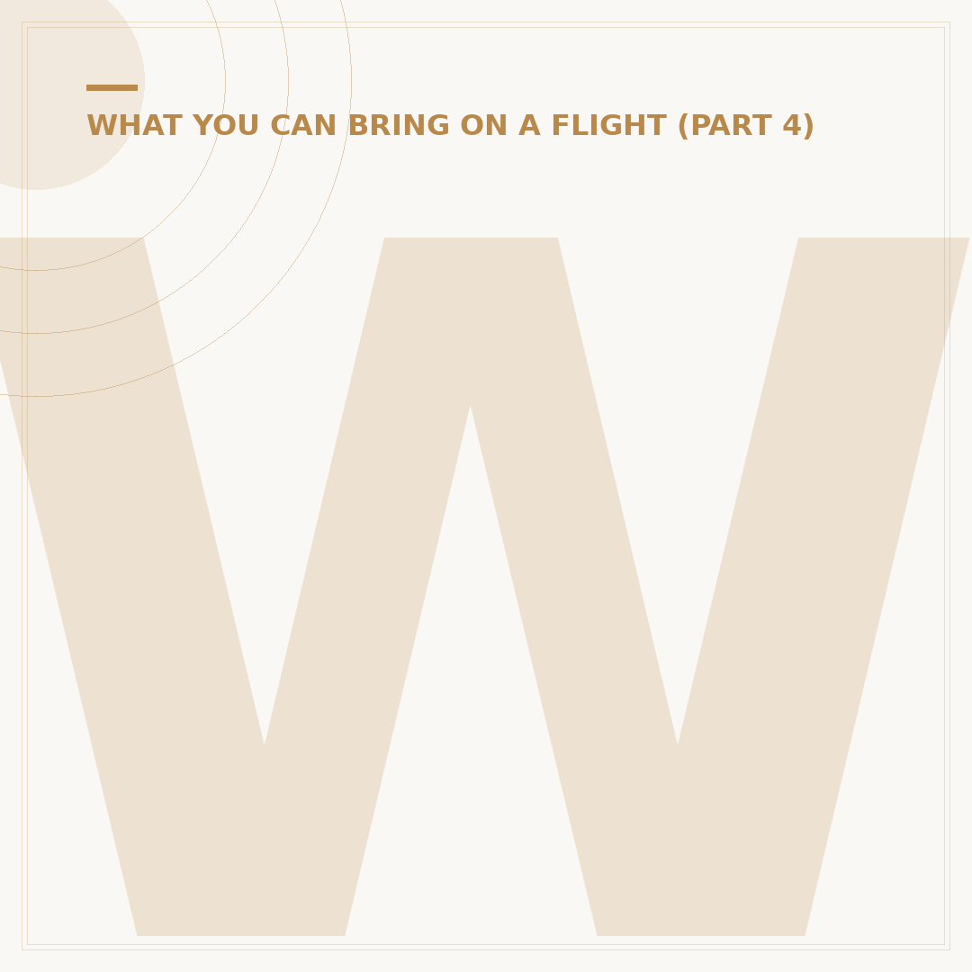 What Size Liquid on Plane: Airport Rules Explained